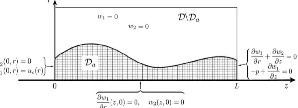 Fig. 2.2. Domains D and D a with boundary conditions