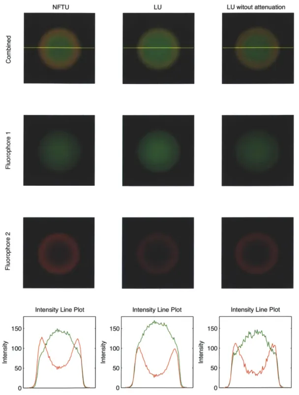 Figure  2-8:  Unmixed  images  of microspheres  stained with  two  fluorophores.  The  left and  middle  column  show  the  unmixed  results  on  the  same  spectral  image  datasets captured  through hemoglobin