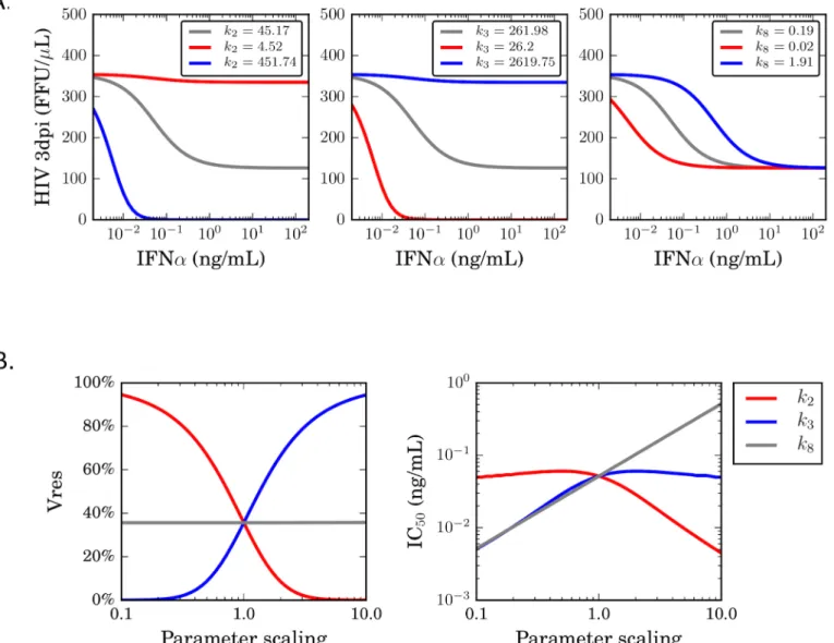 Fig 5. Differential effects of inhibitory parameters of the potency of IFN α . (A) Experimentally measured values for k 2 (left panel), k 3 (middle panel) and k 8 (right panel), were modulated up (blue) and down (red) by 10-fold, and the effect on the outc