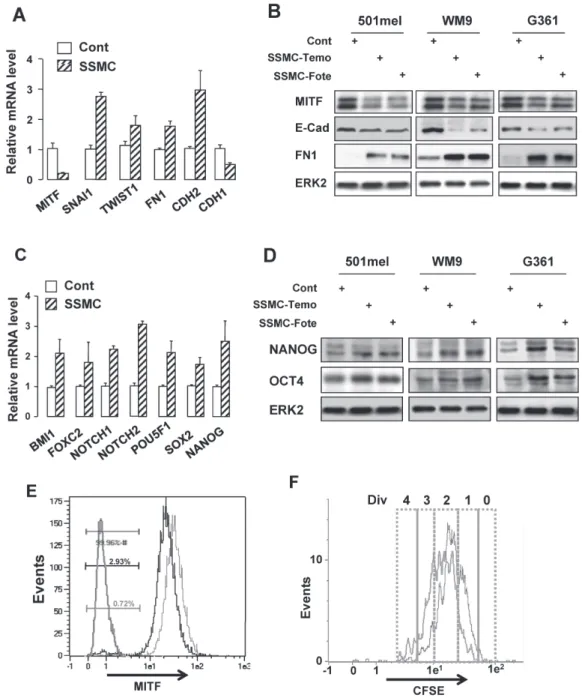 Figure 1: The secretome of senescent melanoma cells enhances the melanoma initiating cell population