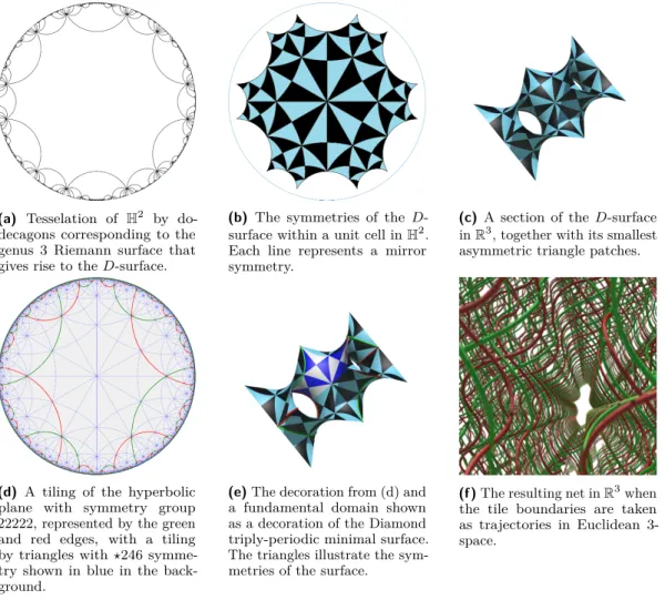 Figure 1 (a)-(c) shows symmetries of the D-surface in R 3 and its uniformization in H 2 