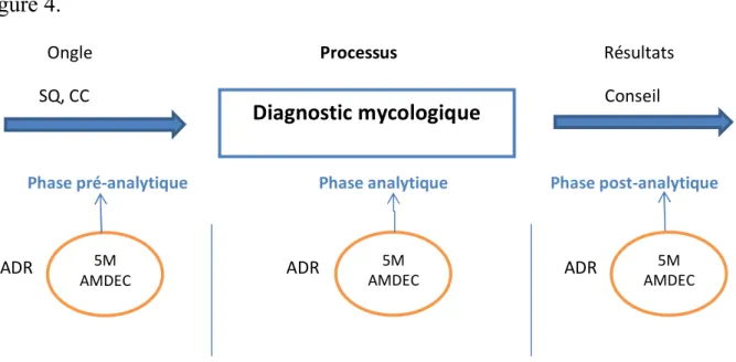 Figure 4 : Schéma du processus du diagnostic mycologique avec l’application des deux  approches de l’analyse de risques : 5M et AMDEC dans différents sous processus
