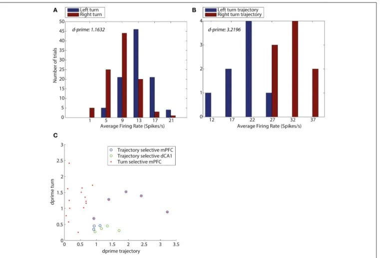 FIGURE 5 | D-prime values for turn direction and trajectory reveal an overlap between mPFC neurons encoding turn and trajectory