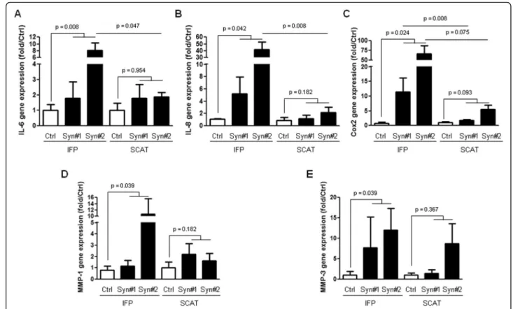 Fig. 6 Response of IFP and SCAT preadipocytes to stimulation by conditioned media of the synovium from OA patients