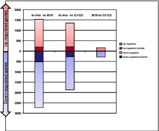 Figure 4B summarizes the gene clusters that were more than two-fold less abundant after embryo culture in G1/G2 (nine clusters, containing 82 genes, had an enrichment factor above the threshold and were thus analysed further)