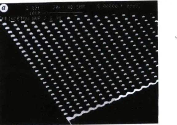 Figure  1-1:  Schematic  diagrams  and  SEM  images  of  the  microchannel  manufactured by  Duong  et  al