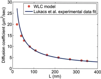 Figure  3-4:  Comparison  between  our simulation  results  and  the  experimental  data of Lukacs  et  al