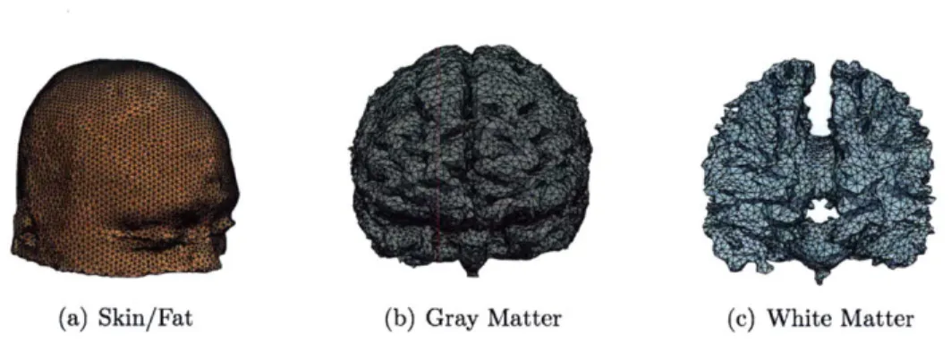 Figure  3-1:  Detailed  views  of the  skin/fat, gray  matter,  and  white  matter  structures in the  FHM