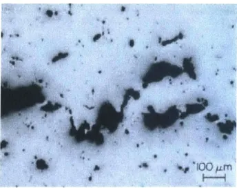 Figure  2-5:  Fracture  surface  of  an  initially  fully  dense  notched  bar  showing  void coalescence,  taken  from  [29]