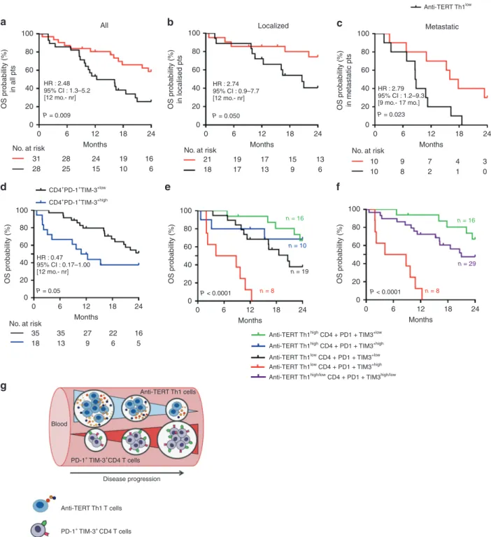 Fig. 5 Prognostic value of systemic anti-TERT Th1 response and exhausted PD-1 + /TIM-3 + CD4 + T cells in NSCLC