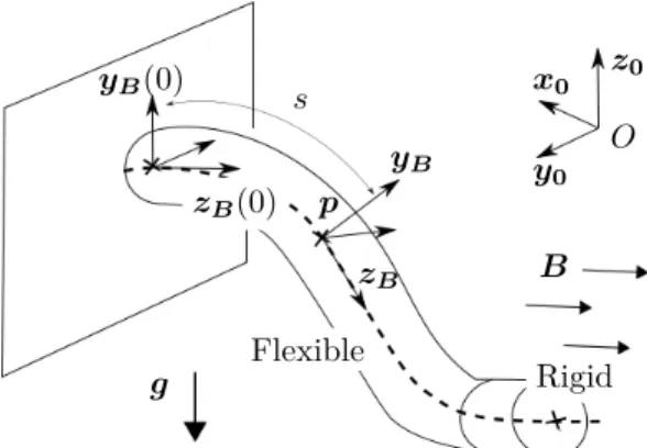 Figure 2: Spatial representation of the m-CR, with ref- ref-erence frame R 0 , local frame R B , and external magnetic field B.