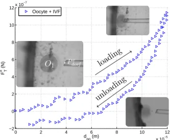 Figure 14: Oocyte O 1 stiffness characterisation without dis- dis-turbance correction of the IVF medium.