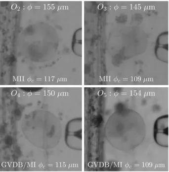 Figure 15: Oocyte O 1 stiffness characterisation including IVF medium characterisation and compensation.