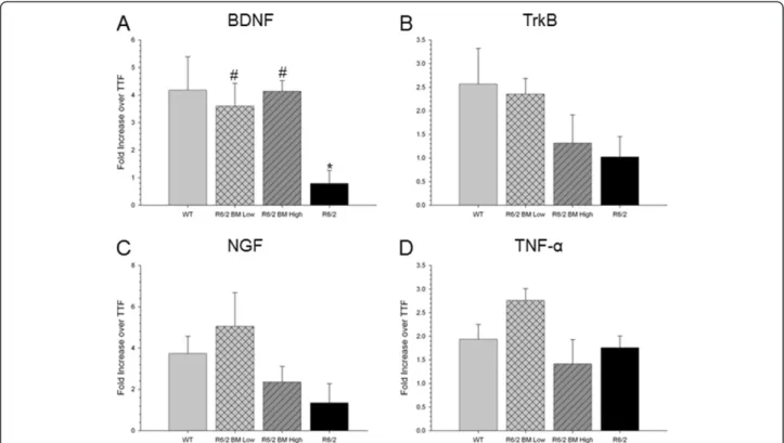 Figure 8 In vivo quantitative RT-PCR of BDNF, TrkB, NGF, and TNF α mRNA expression (fold increase over tail-tip fibroblast) following transplantation of bone marrow mesenchymal stem cells