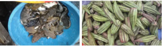 Figure 1: Example of local pictures used for speech elicitation. Listening to the corresponding recordings, one clearly distinguishes several  repe-titions of a word corresponding to the main object of the image (left: ambamba ; right: dongodongo)