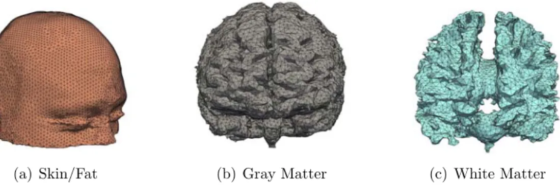 Figure 2-1: Detailed views of the skin/fat, gray matter, and white matter structures in the FHM