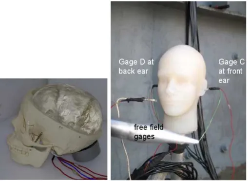 Figure 3-1: The head/neck manikin used in free-ﬁeld blast tests