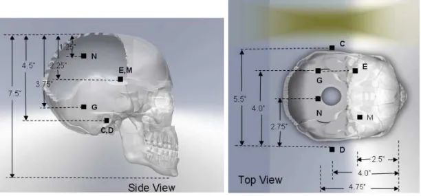 Figure 3-3: Manikin intracranial pressure sensor locations for ﬁrst set of experiments