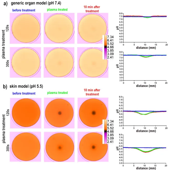 Figure 4. Buffered fluorescent agarose gels mimicking a generic organ pH (a) or skin (b) treated with 271 