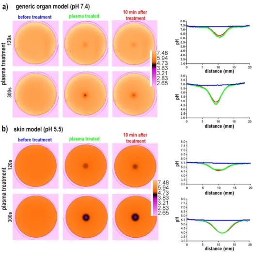 Figure 3.  Buffered fluorescent agarose gels mimicking a generic organ pH (a) or skin (b) treated with 262 