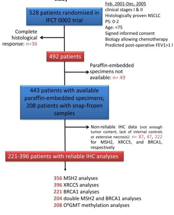 Figure 1: Patients and histological sample disposition in the Bio-IFCT 0002 study.