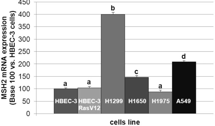 Figure 5: MSH2 mRNA expression level in lung cancer cell lines.  The different letters above the histograms represent the  significant differences between them (one-way ANOVA, following post-hoc test of Fisher’s LSD, p &lt;0.05).