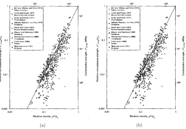 Figure  2-3:  Plot  of  compressive  strength  vs  density  of  trabecular  bone  as  presented by  [10]