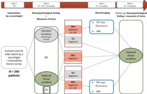 Figure 1  Flow chart of the main steps for patients. As a routine procedure, aMCI patients will be offered a lumbar puncture  (included in the consent form)