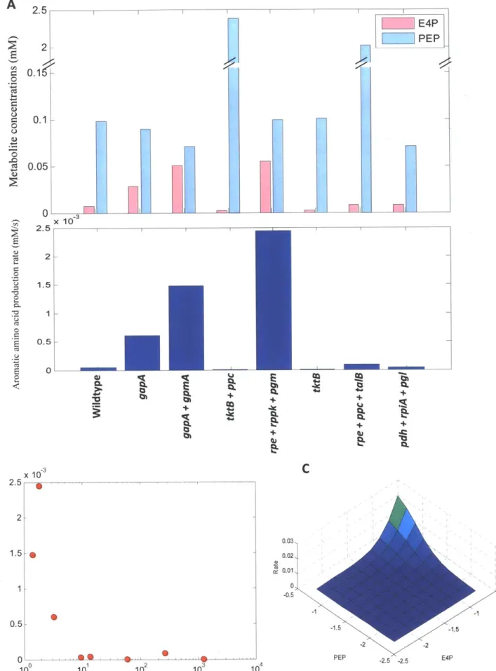 Figure  7.  Balance  PEP  and  E4P steady-state  concentrations.  A. the  upper panel  shows the  steady-state  concentrations  of PEP  and2.52-0.1<0.1 -0.05-0-2.521.512.52BE000.CEE01.5 e10.5 -0 L_100------010 4