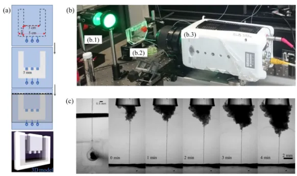 Figure 1.   Angle of repose measurement device fabrication and set-up. (a) Sketch side view of device fabrication steps: First, the  indicated area of PDMS-PDMS microfluidic device is cut and retrieved; then, 5 mm cylindrical PDMS supports are fixed and al