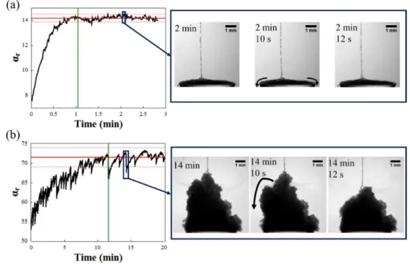 Figure 2.   Angle of repose evolution over time, with indicated stabilization time t ss   , steady state angle α ss  and cohesiveness σ ss 
