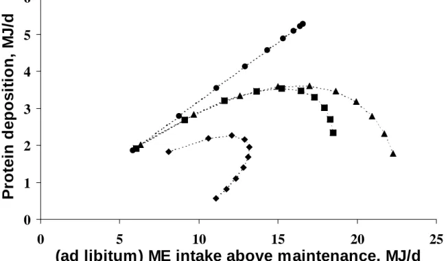 Figure 3. The effect of body weight on the use of ME intake above maintenance for protein  deposition