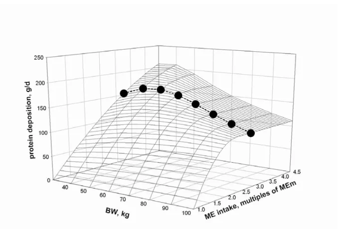 Figure 4. The response surface of protein deposition as a function of ME intake above  maintenance and body weight