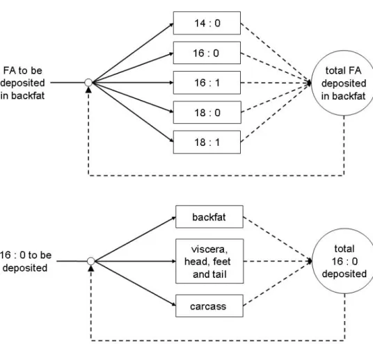 Figure 8. Possible hypotheses concerning the driving forces for the anatomical partitioning of  de novo synthesized fatty acids