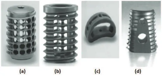 Figure 3.1:   Images  de  quatre  types  de  cages  intersomatiques  pour  fusion   (d'après [72])