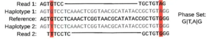 Figure  1-9:  A  section  of  DNA  sequence  from  each  of  two  homologous  chromo- chromo-somes  is  shown  above  and  below  the  reference  sequence