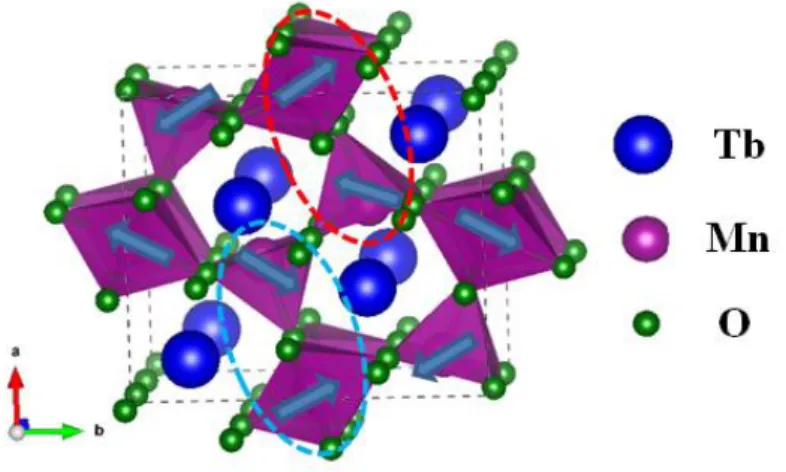 Figure  1:  Orthorhombic  structure  of  TbMn 2 O 5 ,  the  blue  arrows  indicate  the  magnetic  structure  of  manganese ions