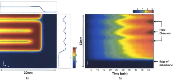 Figure  3-9:  (a)  FEM  simulation  of water section  of  the  Nafion® membrane  after  3 angle