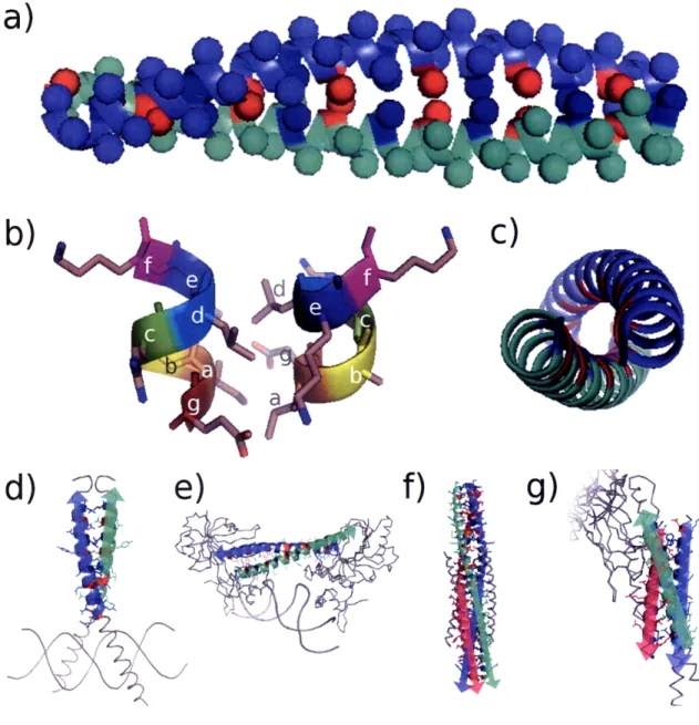 Figure  1-1.  Illustration of  coiled-coil  structure. (a)  Side  view  of a  parallel  dimeric coiled coil