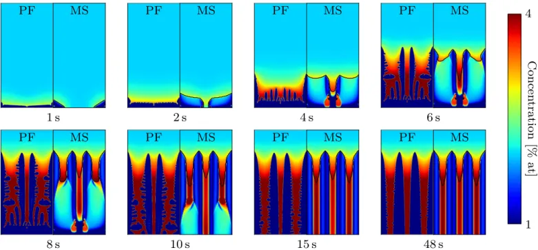 Fig. 1. The evolution of the columnar grains during directional solidification initiated from two nuclei placed in the bottom corners