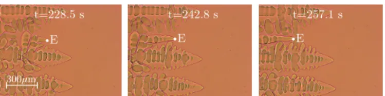 Fig. 4. Mechanisms of primary spacing adjustment. Micro- Micro-graphs of directional solidification of an NPG-TRIS (neopentyl  glycol-tris(hydroxymethyl)aminomethane) alloy, courtesy of Victor Witusiewicz (Access e.V.).