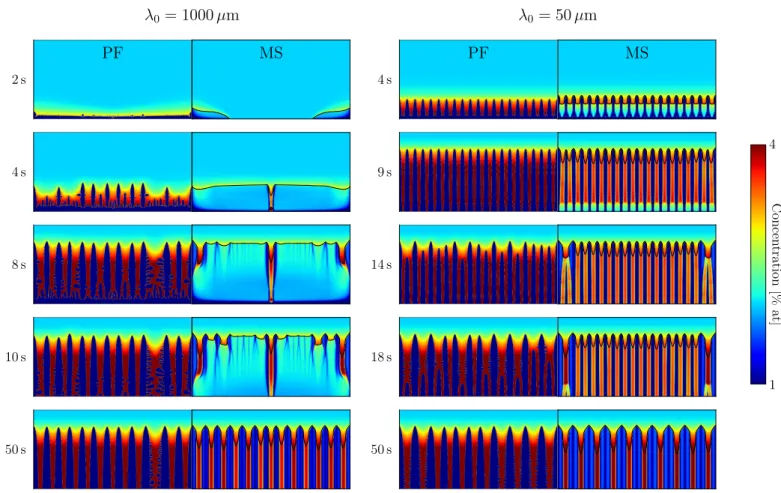 Fig. 5. The evolution of the columnar grains from an initial spacing of λ 0 = 1000 µ m (left column) and λ 0 = 50 µ m (right column)