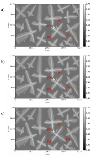 Figure 12: Evolution of the dimensionless envelope projected area, f 2d , over time for the reference grain, RG, where f 2d is the ratio of the projected grain area to the projected domain area ( f 2d = A 2d /(L x L y ))