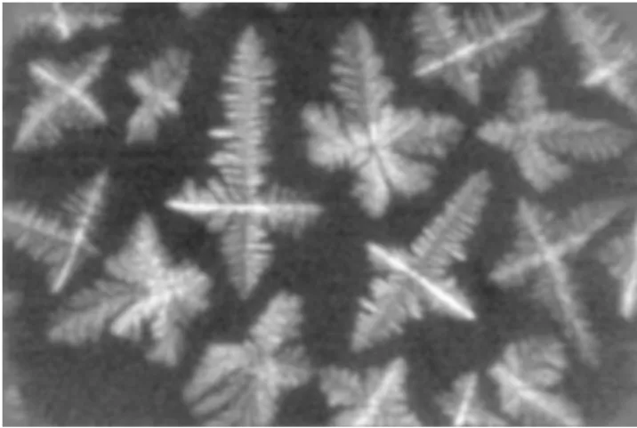 Figure 1: X-ray transmission projection image of growing grains from the XRMON-SOL experiment [22]