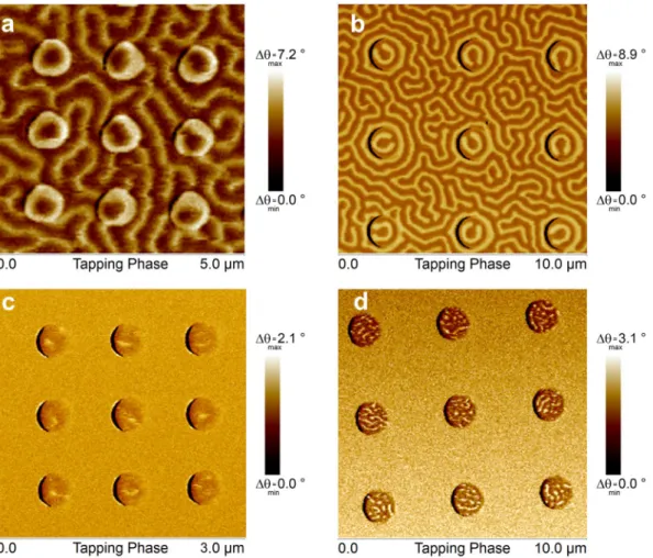 Figure 4.  MFM images of disk arrays for 15PP-A (a,b) and 15FP-AI (c,d) samples taken under no external field  after in-plane AC demagnetization with 1 T maximum field and application of 3 T perpendicular-to-plane field