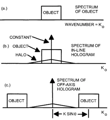 Figure  2-12:  Spectra  in  one  dimension  for  an  image  and  its in-line  and  off-axis  holograms a
