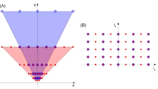 Figure 10: Pooling over 2 x 2 lattices of the s, x array in V1 and subsampling reduces the square lattice; if the lattice in x is 40 units, 4 layers (V2, V4, TEO, AIT) of x pooling are sufficient to create cells that are 16 times larger than the largest in