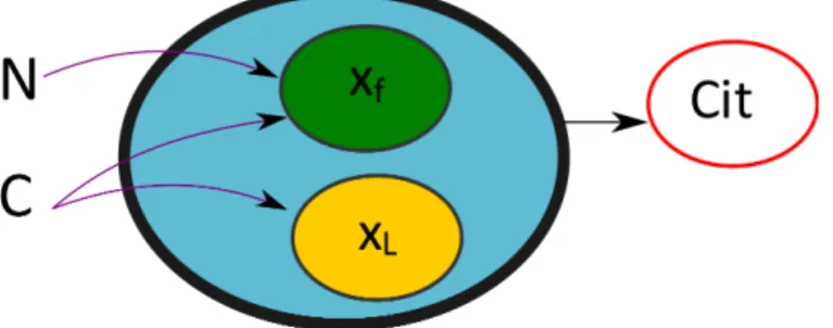 Figure 6.1: Macroscopic representation of yeast metabolism. The distribution of carbon into functional biomass (x f ), neutral lipids (x L ), and citric acid (Cit) is mediated by the nitrogen (N) and carbon (C) uptake fluxes