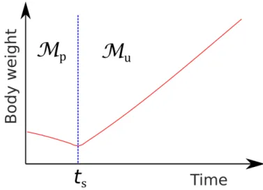 Figure 8.1: The piglet weaning response is partitioned in two time windows defined by the switching time t s 