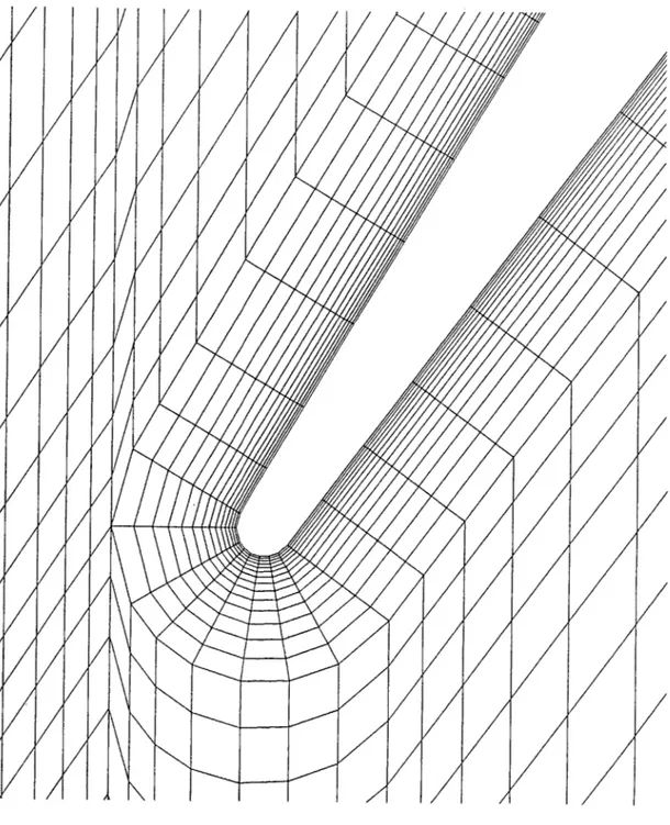 Figure  3.3  Pass  45  Grid,  Leading  Edge  Detail